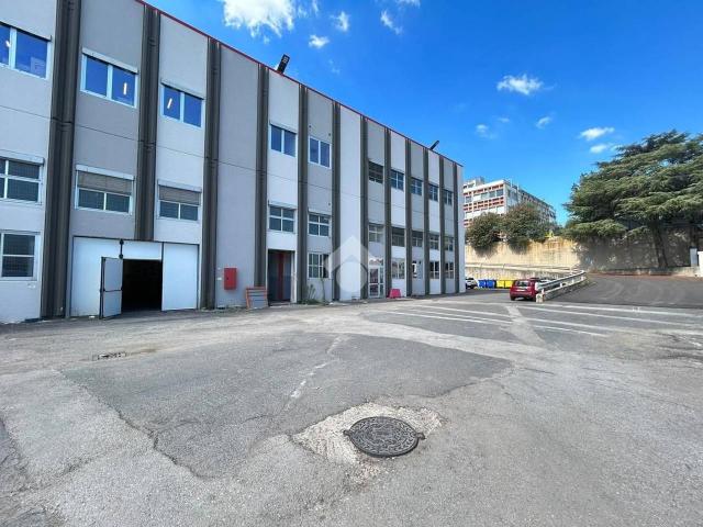Capannone in affitto a Area Produttiva, Roma Capitale