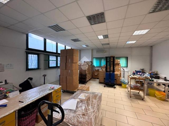 Capannone in affitto a Ponte San Nicolò, Veneto