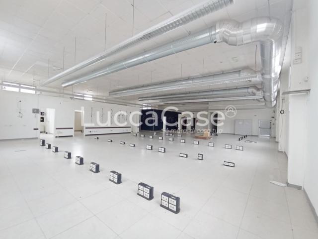 Capannone in affitto a Porcari, Lucca