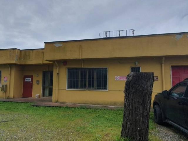 Capannone in affitto a Rughi, Porcari