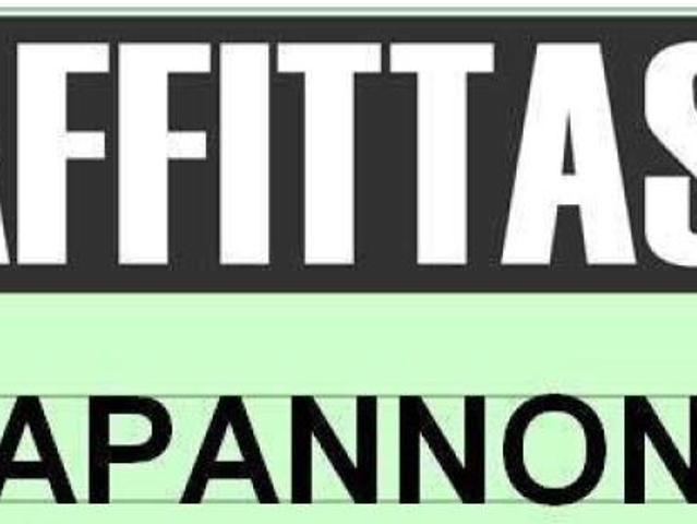Capannone in affitto a Re, Reggio Emilia