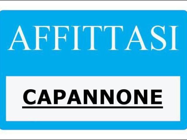 Capannone in affitto a Cavazzoli, Re