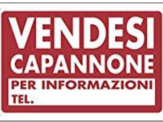Capannone in affitto a Pieve Modolena, Re