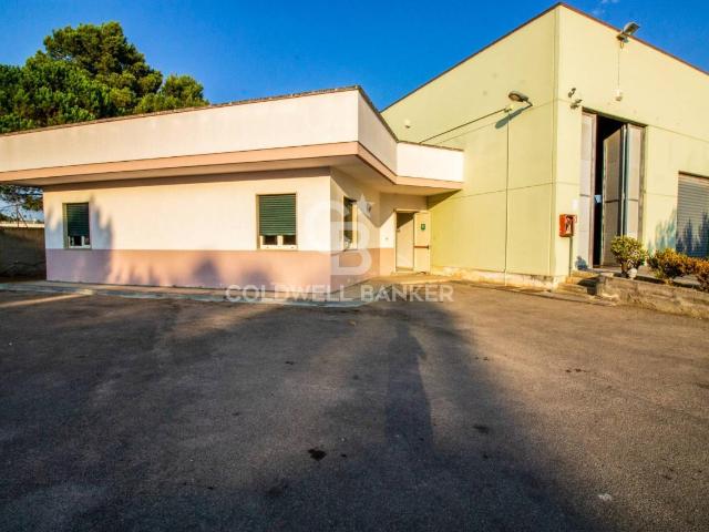 Capannone in affitto a Puglia, Brindisi
