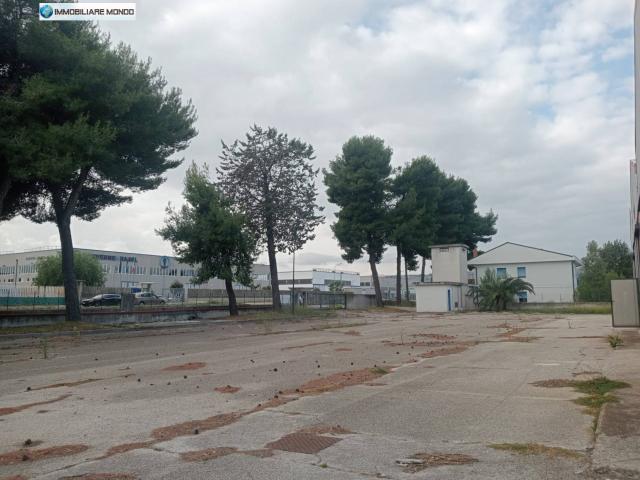 Capannone in affitto a Termoli, Molise