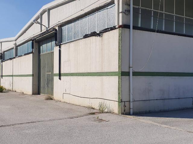 Capannone in affitto a Unione dei Comuni della Val Vibrata, Tortoreto