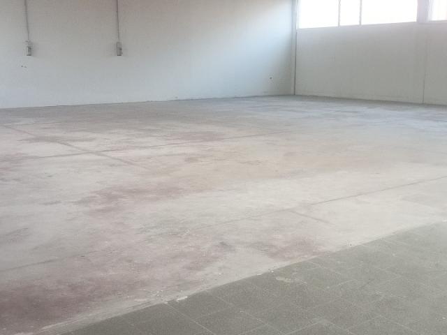 Capannone in affitto a Trebaseleghe, Veneto