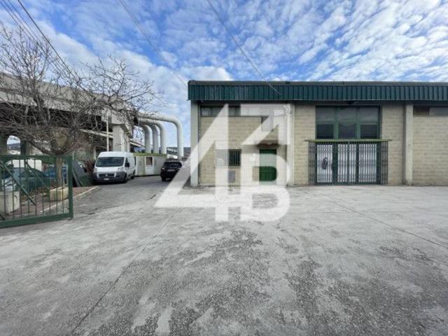 Capannone in affitto a Servola-Chiarbola-Valmaura-Borgo San Sergio, Villa Opicina