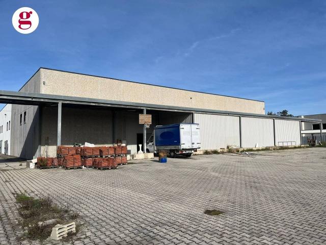 Capannone in affitto a Vasto, Abruzzo