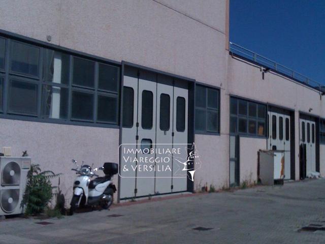 Capannone in affitto a Viareggio, Lucca