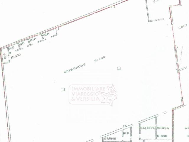 Capannone in affitto a Cotone, Viareggio