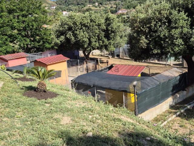 Capannone in affitto a Calabria, Vibo Valentia