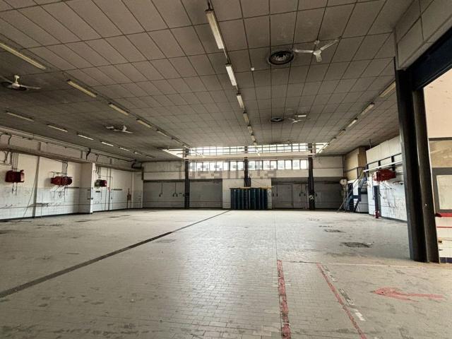 Capannone in affitto a Unione di Comuni della Romagna Forlivese, Quattro