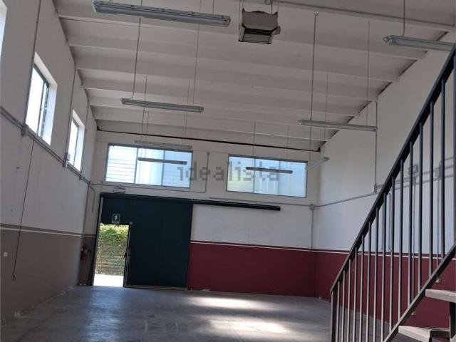 Capannone in affitto a Unione Comuni Modenesi Area Nord, Mirandola