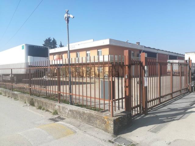 Capannone in affitto a Cenerente, Umbria