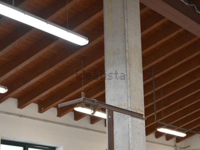 Capannone in affitto a Polverara, Veneto
