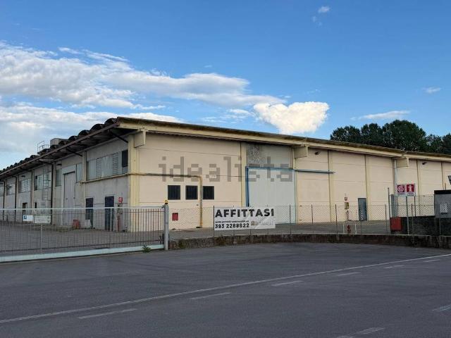 Capannone in affitto a Quinto Di Treviso, Veneto