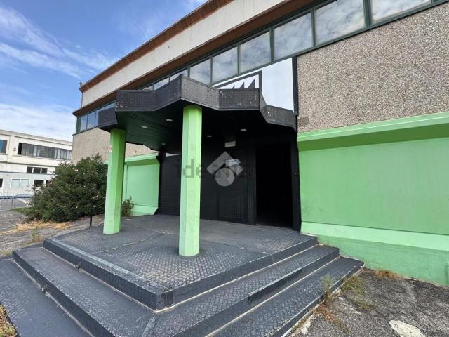 Capannone in affitto a Roma Capitale, Lazio