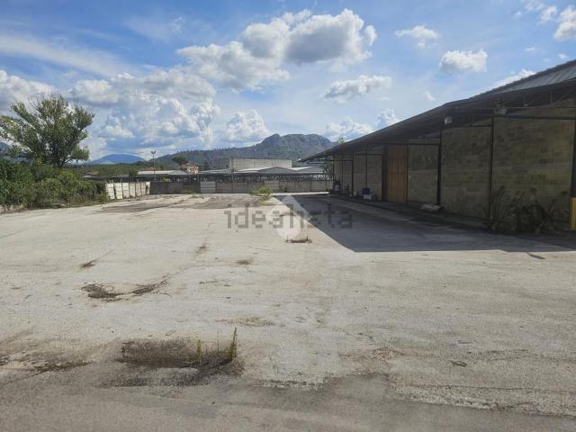 Capannone in affitto a San Bartolomeo, Cassino