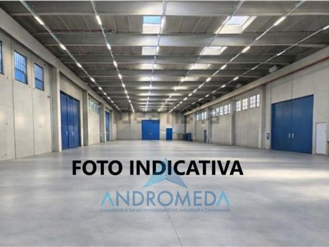 Capannone in affitto a Cittadella di Casoria, Casoria