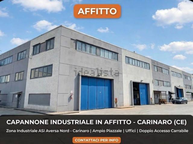 Capannone in affitto a Carinaro, Campania