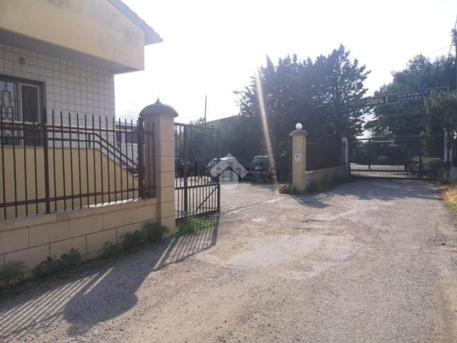 Capannone in affitto a Puglia, Foggia