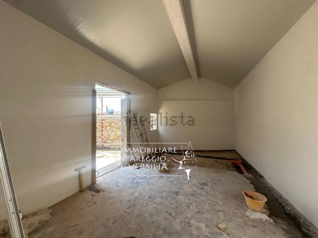 Capannone in affitto a Cotone, Viareggio