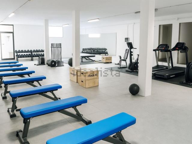 Capannone in affitto a Montignoso, Toscana