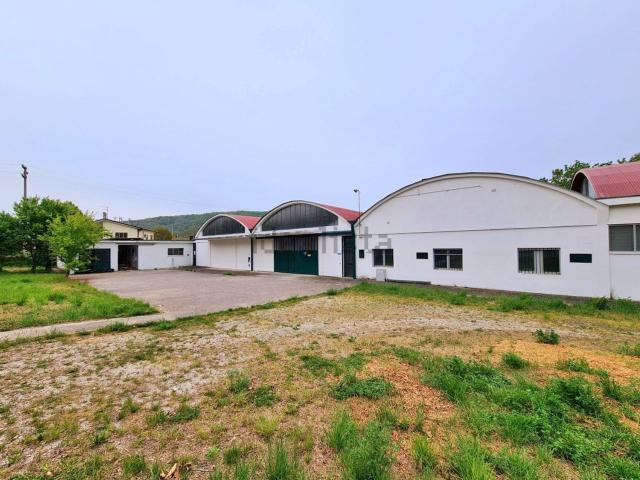 Capannone in affitto a Baone, Veneto
