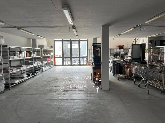 Capannone in affitto a Fontanini, Viareggio