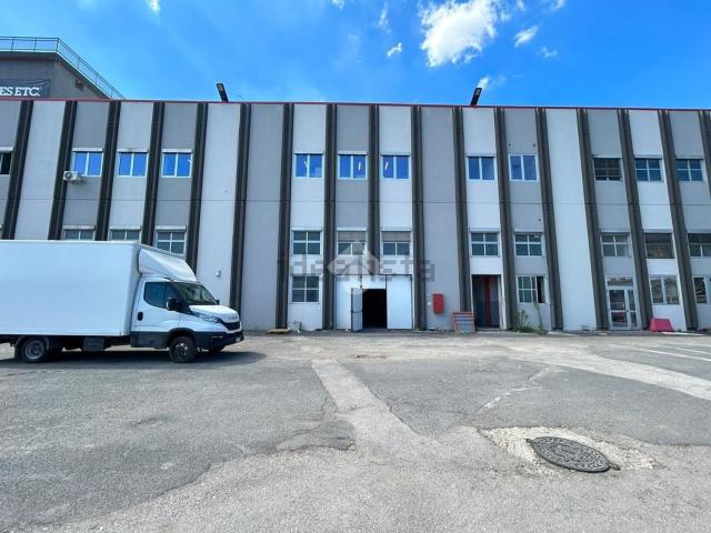 Capannone in affitto a Area Produttiva, Pomezia