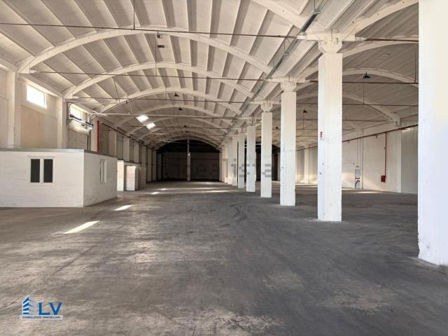 Capannone in affitto a Frosinone, Lazio