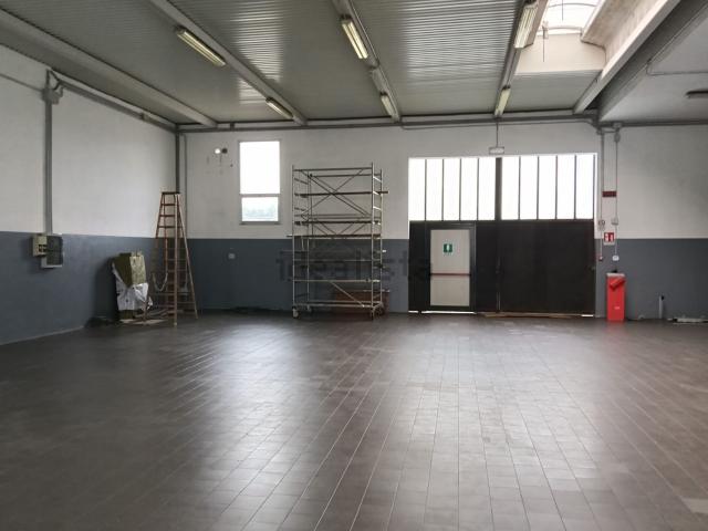 Capannone in affitto a Silea, Veneto