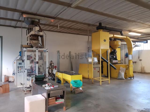 Capannone in affitto a Paganico, Capannori