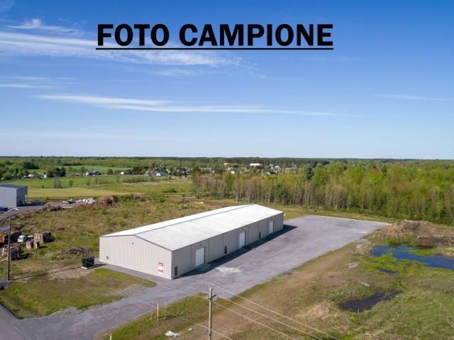 Capannone in affitto a Lonigo, Veneto