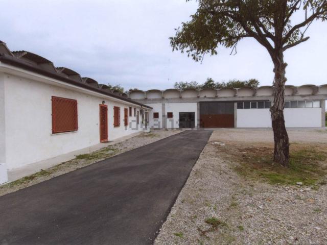 Capannone in affitto a Ponzano Veneto, Ponzano