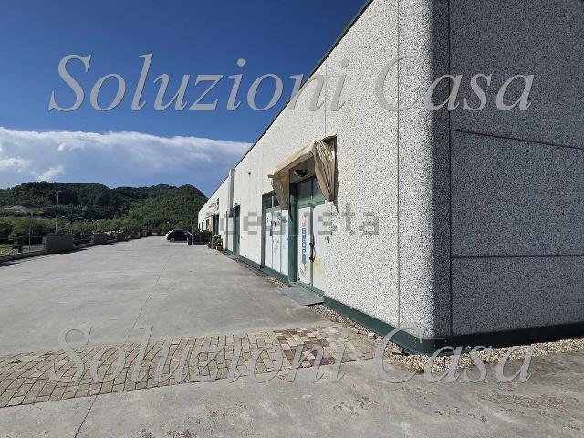 Capannone in affitto a Piemonte, Alessandria
