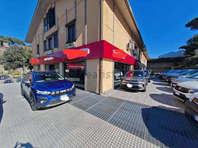 Capannone in affitto a Roma Capitale, Lazio