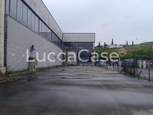 Capannone in affitto a Colle del Lupo, Uzzano E Castello
