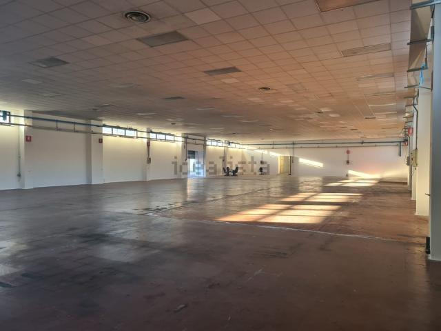 Capannone in affitto a Dulcino, Calabria