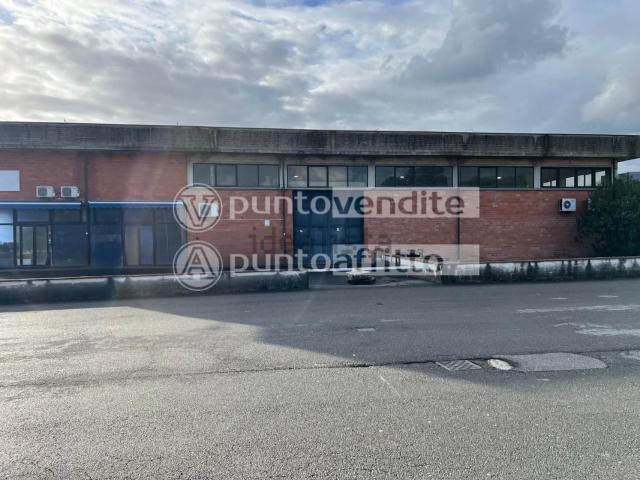 Capannone in affitto a Capannori, Lucca