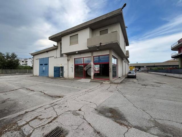 Capannone in affitto a Città Sant'angelo, Abruzzo