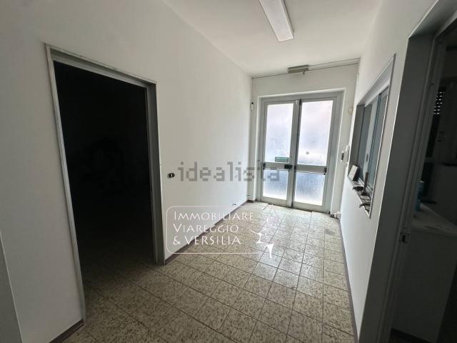 Capannone in affitto a Viareggio, Lucca