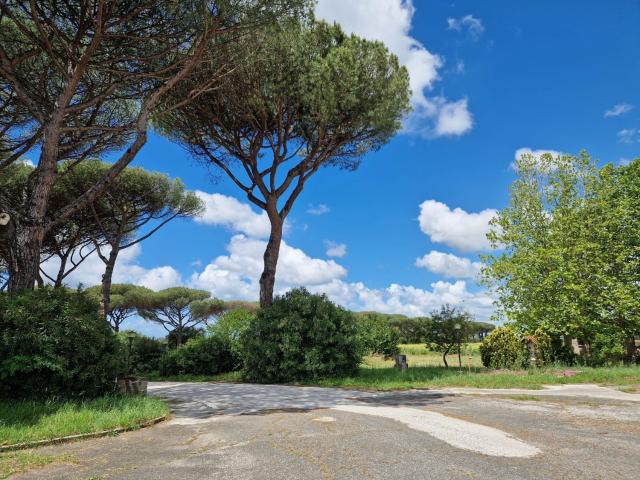 Capannone in affitto a Monte Migliore, Roma Capitale