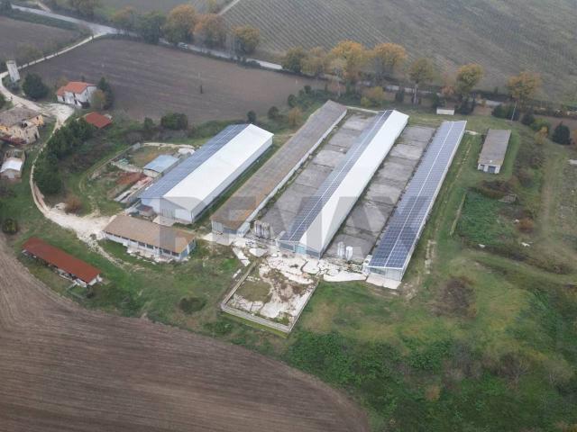 Capannone in vendita a Marche, Ancona