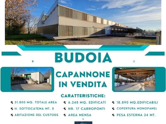 Capannone in vendita a Budoia, Friuli-Venezia Giulia