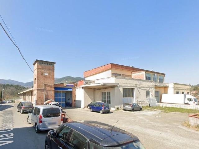 Capannone in vendita a Cascine di Buti, Buti