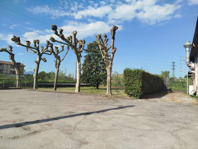 Capannone in vendita a Segromigno in Monte, Capannori