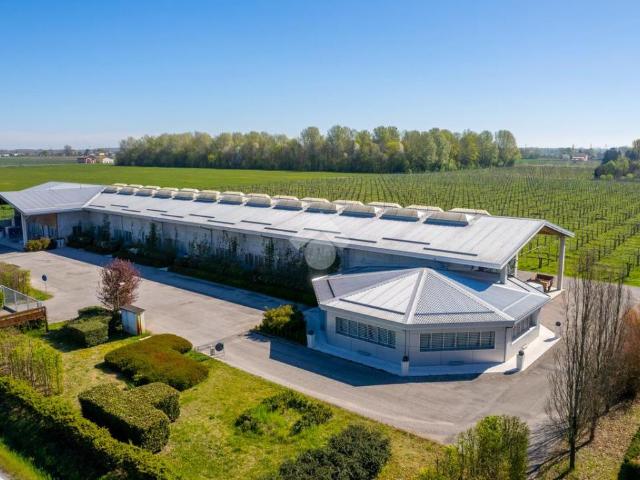 Capannone in vendita a Unione delle Terre d'Argine, Carpi