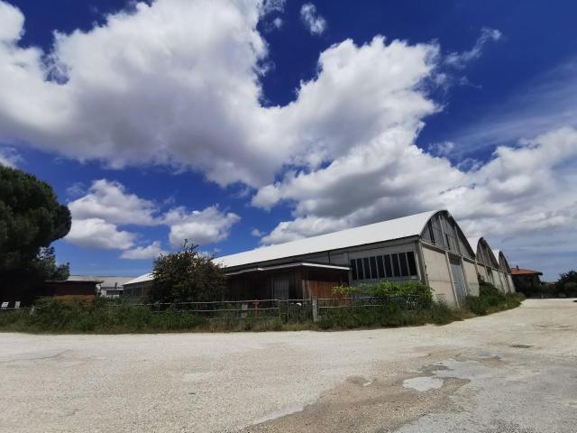 Capannone in vendita a Colli al Metauro, Marche
